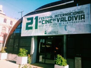 Cartel del Festival Internacional de Cine de Valdivia, edición 2014.